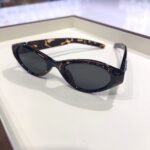 t40 gatinho - Imagem 5